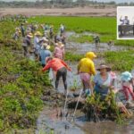 Diputados impulsan Reforma Ambiental para garantizar agua y rescatar las presas de Guanajuato