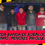 ¡Robacoches son atrapados, menores entre la banda!