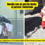 Vecinos denuncian a Rosalía por presunto maltrato y abuso extremo contra animales en San Miguel de Allende