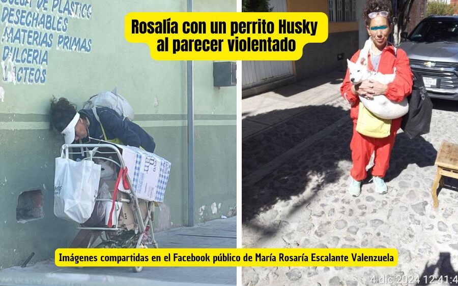 Vecinos denuncian a Rosalía por presunto maltrato y abuso extremo contra animales en San Miguel de Allende