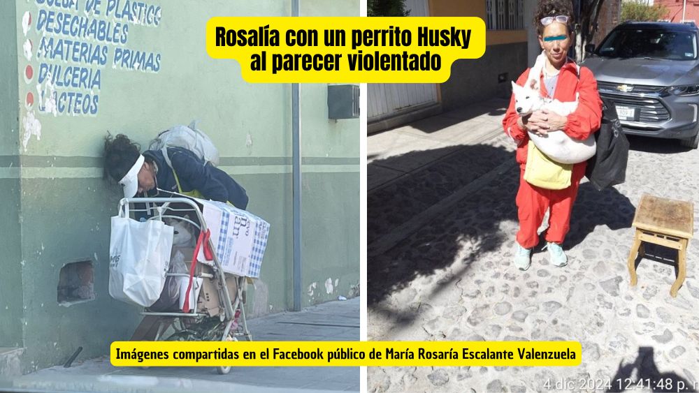 Vecinos denuncian a Rosalía por presunto maltrato y abuso extremo contra animales en San Miguel de Allende