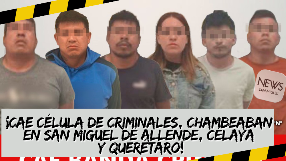 Célula criminal desmantelada, operaba en SMA Querétaro y Celaya