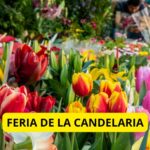 Celebran la 69ª Feria de la Candelaria en San Miguel de Allende