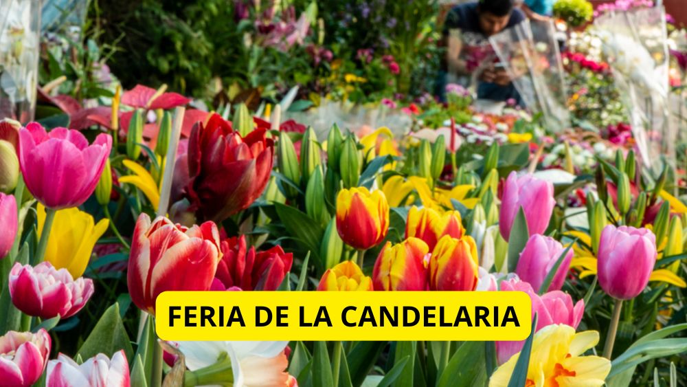 Celebran la 69ª Feria de la Candelaria en San Miguel de Allende