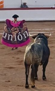 corridas