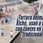 ¡Gatos usados con pirotecnia en festividad de Xichú causa indignación nacional!