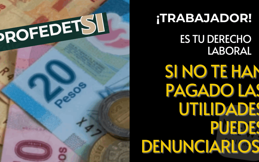 ¿No te han pagado tus utilidades? ¡Denuncia a Profedet!