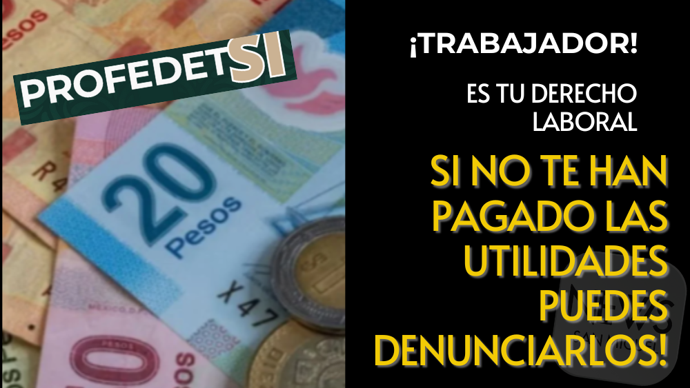 ¿No te han pagado tus utilidades? ¡Denuncia a Profedet!