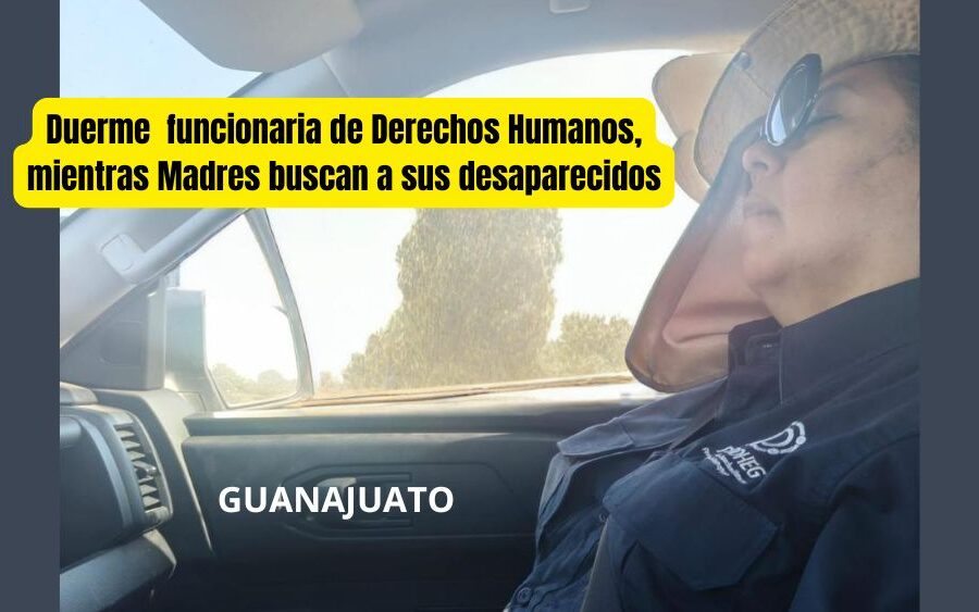 Funcionara de Derechos Humanos de Guanajuato duerme mientras activistas buscan a sus desaparecidos