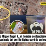 Reportan muerte Miguel Ángel N., señalado por quitarle la vida al perrito Alpha; cayó de una construcción en San José de la Posta