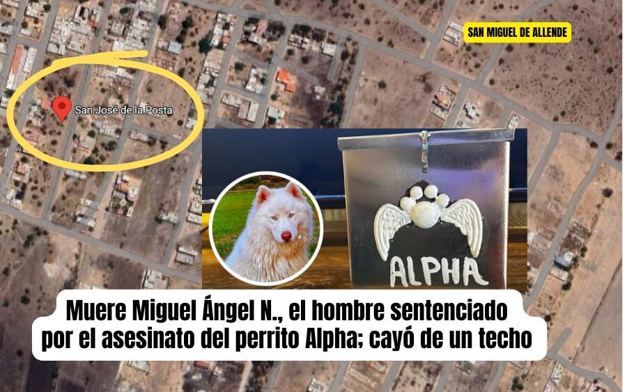 Reportan muerte Miguel Ángel N., señalado por quitarle la vida al perrito Alpha; cayó de una construcción en San José de la Posta