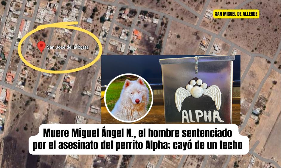 Reportan muerte Miguel Ángel N., señalado por quitarle la vida al perrito Alpha; cayó de una construcción en San José de la Posta