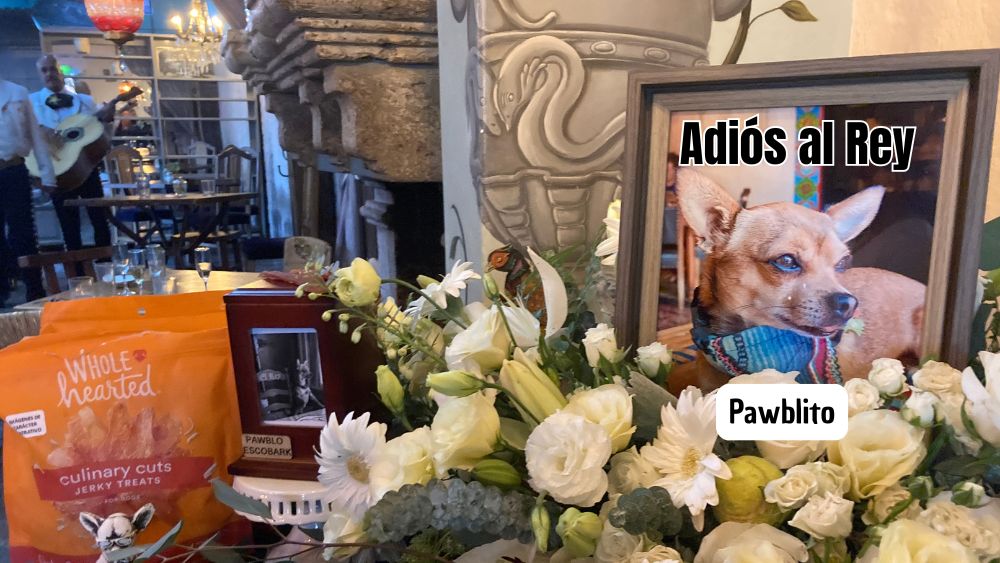 El Rey Pawblo ya descansa: una despedida entre lágrimas, mariachi y amor perruno