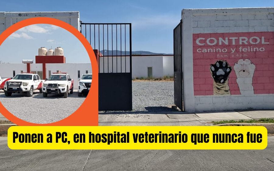 Iba a ser el primer hospital veterinario municipal del país… ahora es la oficina de los relegados de Protección Civil