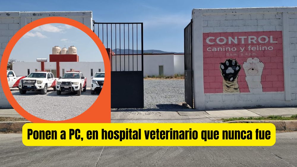 Iba a ser el primer hospital veterinario municipal del país… ahora es la oficina de los relegados de Protección Civil
