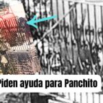 Vecinos de la colonia Caracol piden ayuda urgente para un niño en aparente abandono en San Miguel de Allende