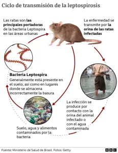 enfermedades