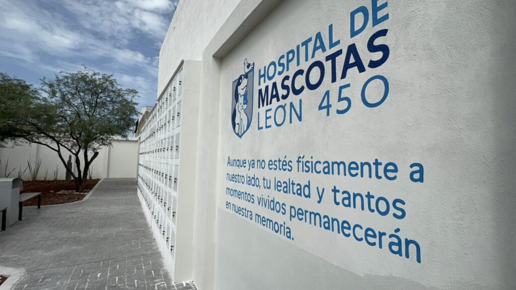 hospital veterinario