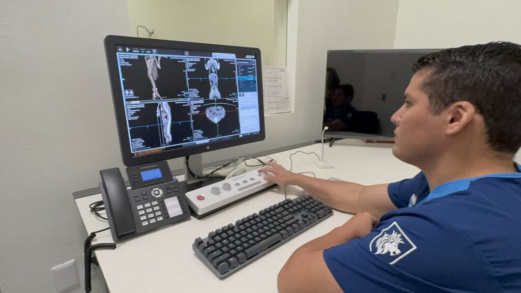 hospital veterinario