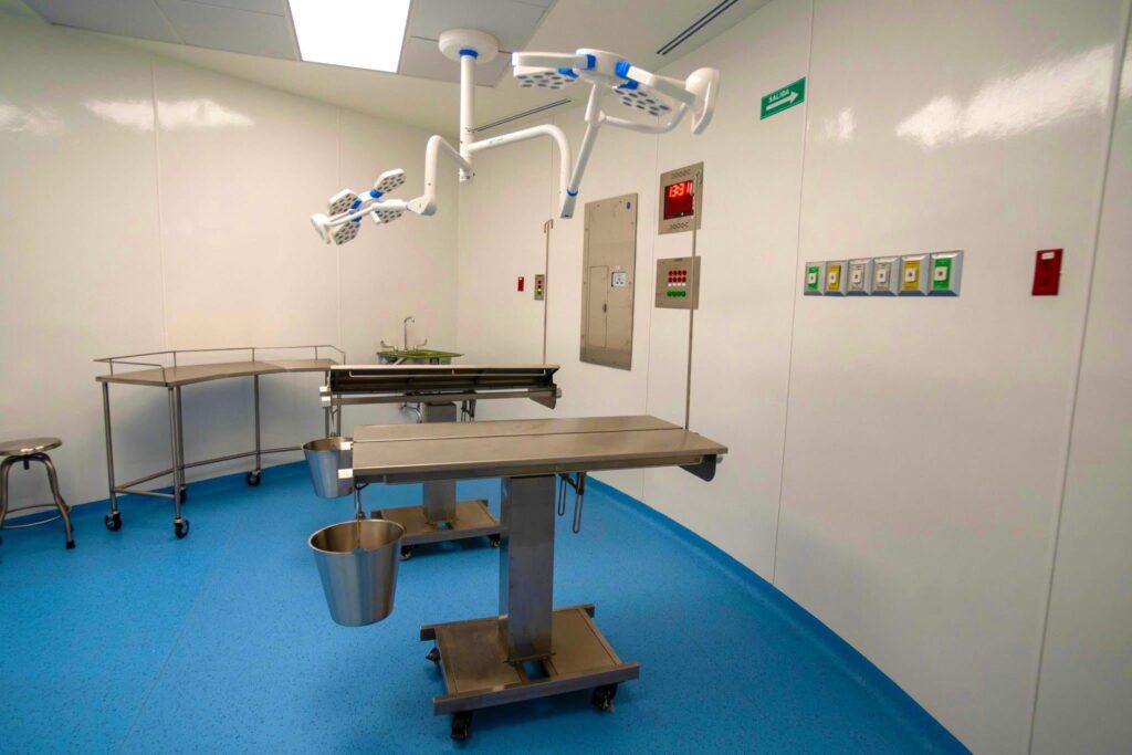 hospital veterinario