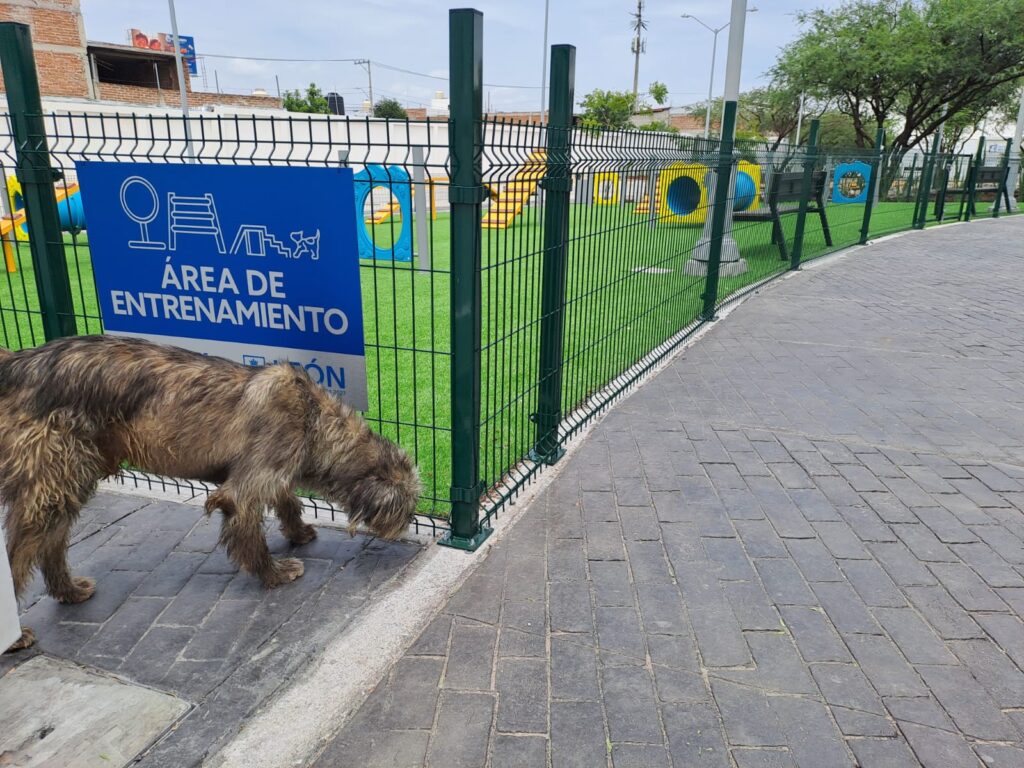 hospital veterinario
