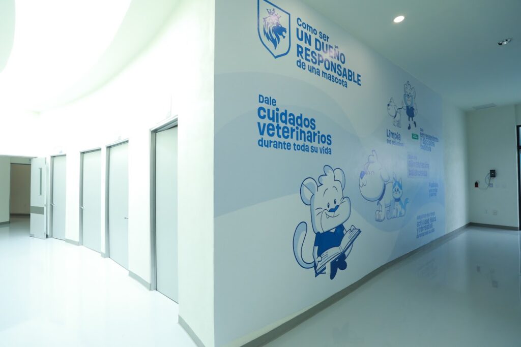 hospital veterinario