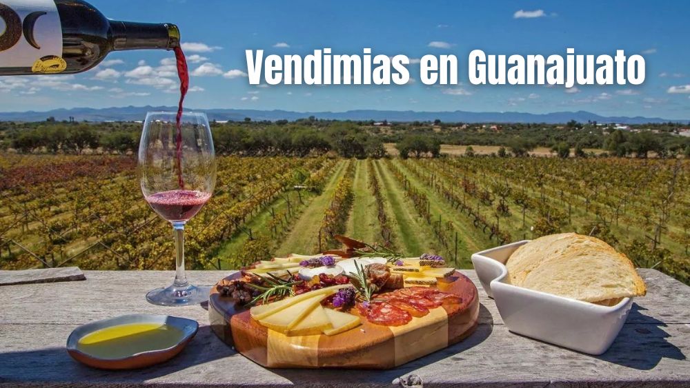 Las Vendimias 2025 de Guanajuato ya tienen fecha y lugar ¡nos vemos con una copa!