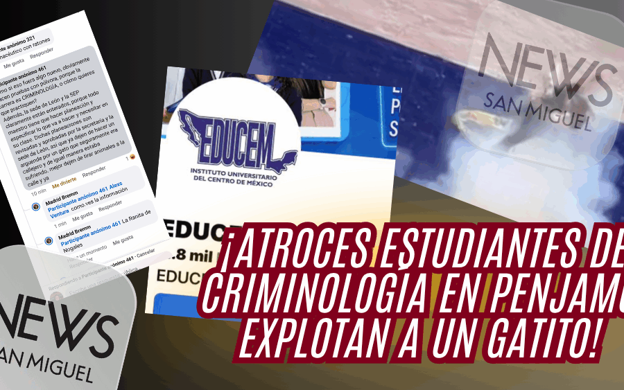 Indignación en Pénjamo: estudiantes de criminología hacen explotar a un gato como “práctica”