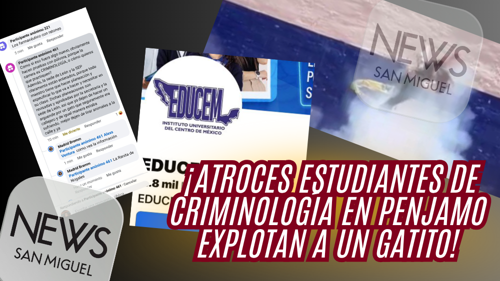 Indignación en Pénjamo: estudiantes de criminología hacen explotar a un gato como “práctica”