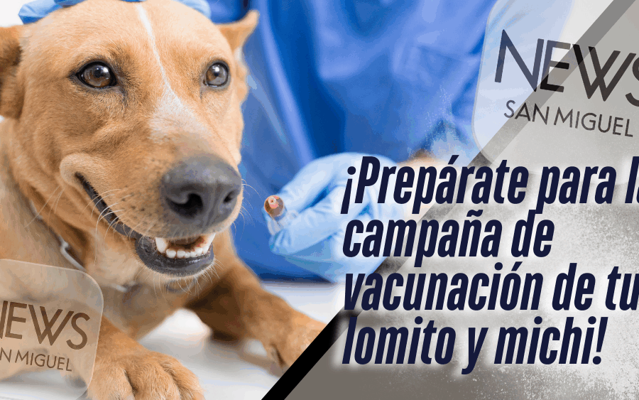 Guanajuato lanzará Semana Estatal de Vacunación Antirrábica 2025