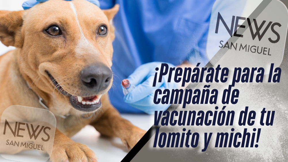 Guanajuato lanzará Semana Estatal de Vacunación Antirrábica 2025