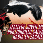 ¡Alerta en Zacatecas: joven muere por probable rabia humana!