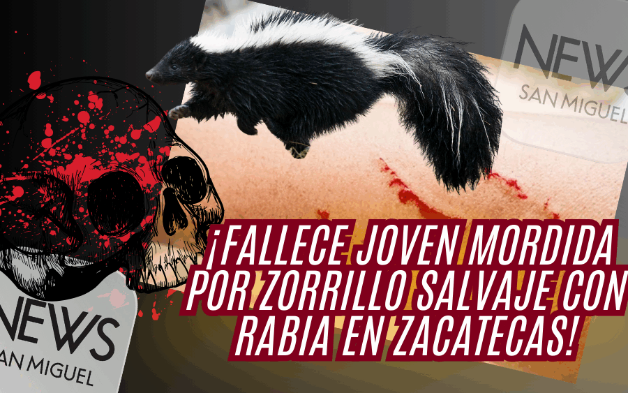 ¡Alerta en Zacatecas: joven muere por probable rabia humana!