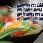 Crece preocupación por consumo de gomitas con CBD entre jóvenes de SMA