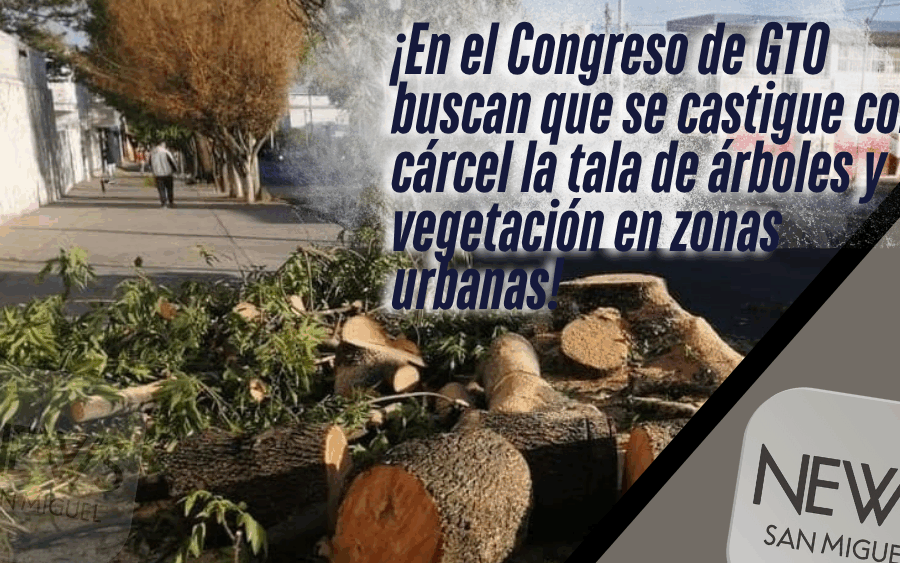 Proponen castigar con cárcel la tala de árboles en zonas urbanas de GTO