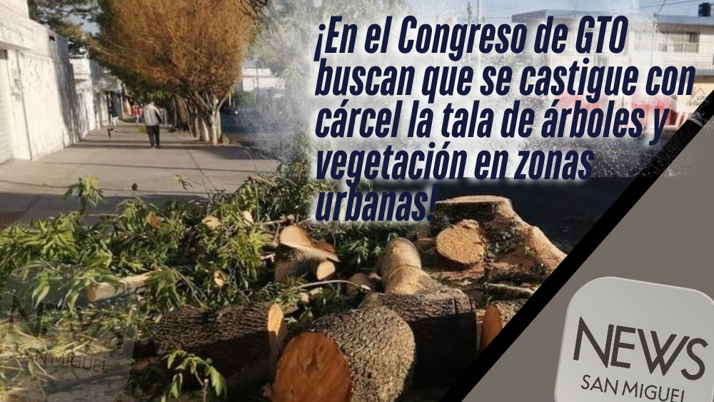 Proponen castigar con cárcel la tala de árboles en zonas urbanas de GTO