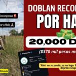 Ramsey dobla recompensa por su perrita Halo: ¡Van 20 mil dólares ($370 mil MXN) por devolverla!