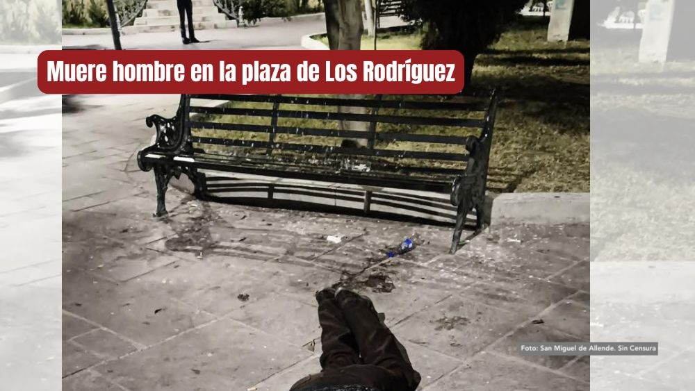 Tragedia en Los Rodríguez: adulto mayor cae y pierde la vida en pleno jardín principal