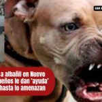 Don Juan: el albañil que fue atacado por un perro en Nuevo Pantoja y lucha solo por sobrevivir