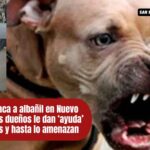 Don Juan: el albañil que fue atacado por un perro en Nuevo Pantoja y lucha solo por sobrevivir