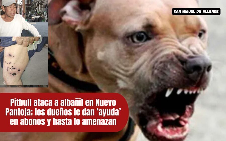 Don Juan: el albañil que fue atacado por un perro en Nuevo Pantoja y lucha solo por sobrevivir
