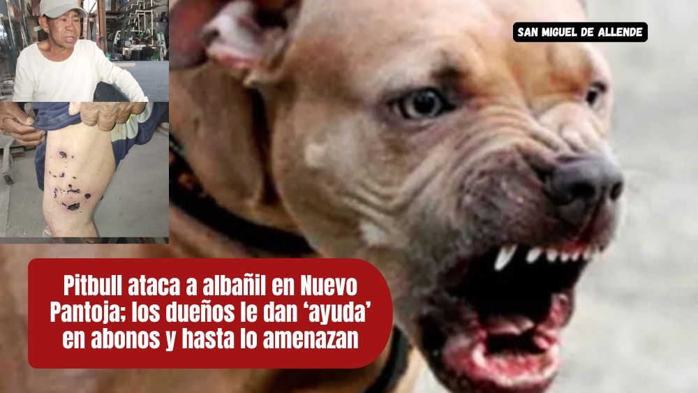 Don Juan: el albañil que fue atacado por un perro en Nuevo Pantoja y lucha solo por sobrevivir