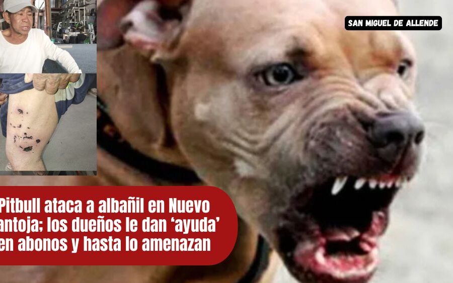 Don Juan: el albañil que fue atacado por un perro en Nuevo Pantoja y lucha solo por sobrevivir