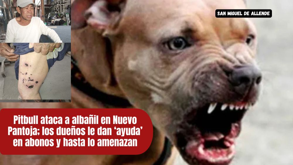 Don Juan: el albañil que fue atacado por un perro en Nuevo Pantoja y lucha solo por sobrevivir