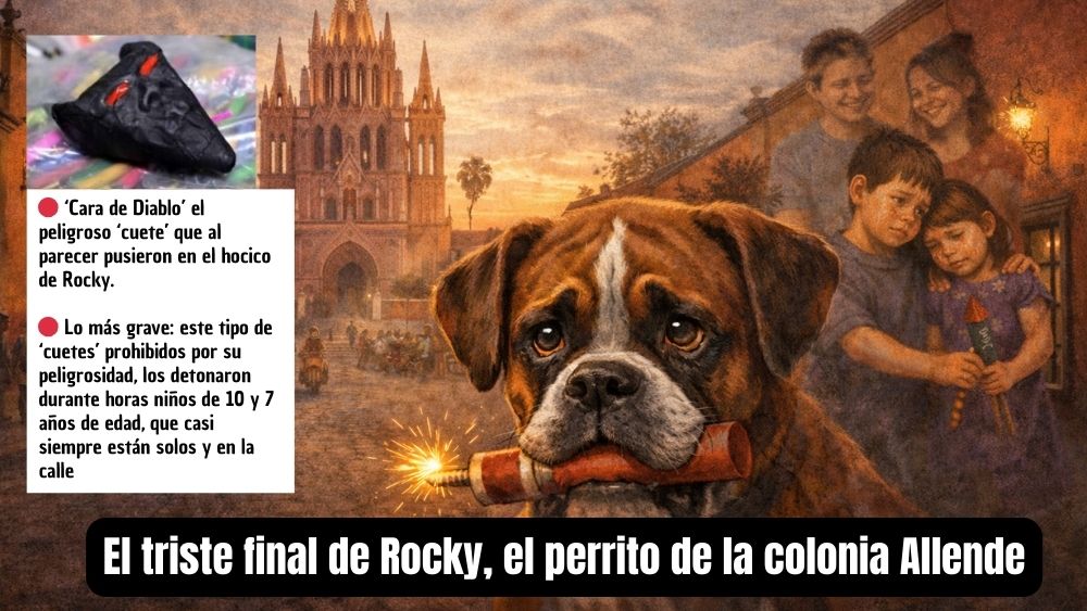 ‘Cara de Diablo’: el ‘cuete’ clandestino que habría matado al perrito Rocky en la colonia Allende