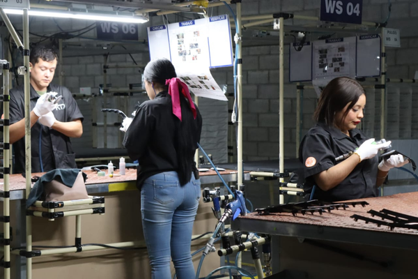 falsas ofertas de empleo en Guanajuato