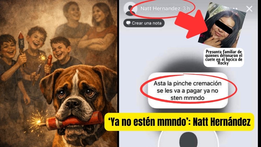 ¿SILENCIO PAGADO?. El caso del perrito Rocky sigue doliendo en San Miguel de Allende