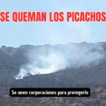 Todos por Los Picachos: se unen corporaciones para proteger Los Picachos