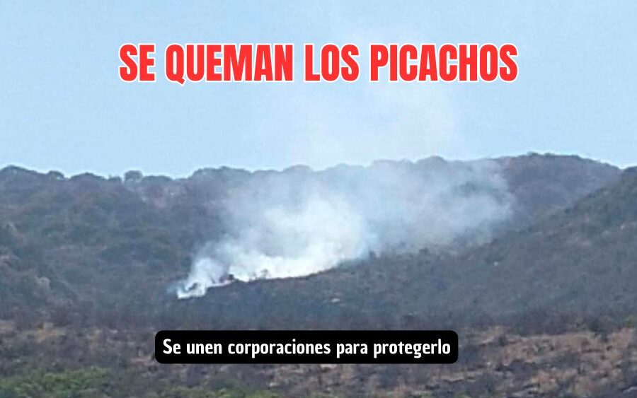 Todos por Los Picachos: se unen corporaciones para proteger Los Picachos