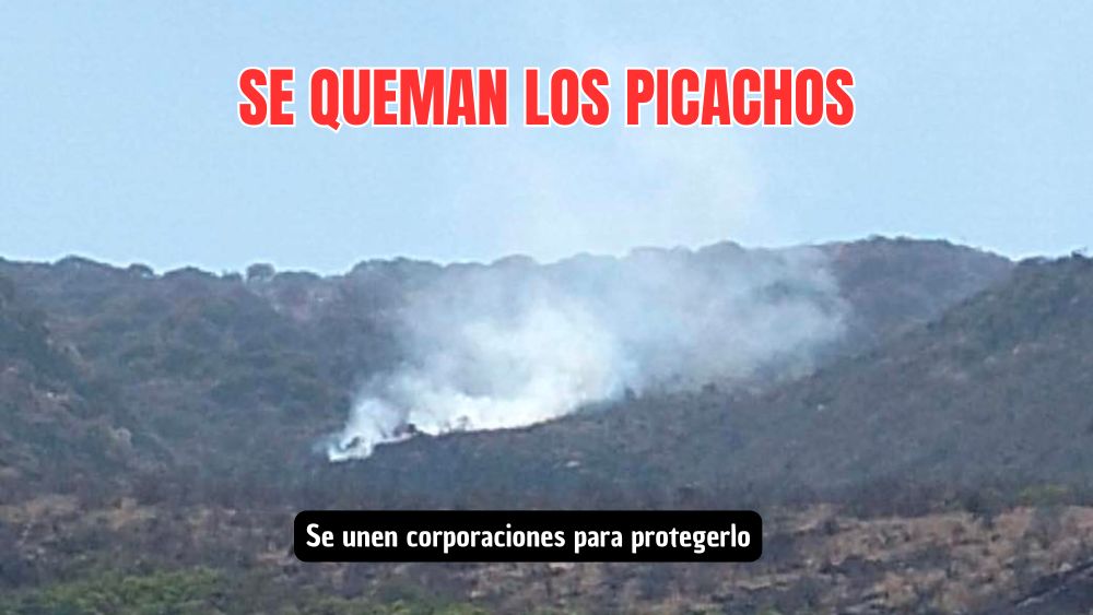 Todos por Los Picachos: se unen corporaciones para proteger Los Picachos